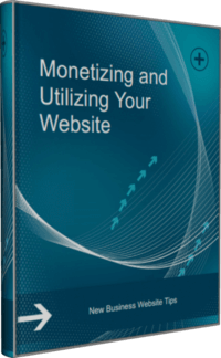 How To Monetize & Utilize Your Website For Highest Profit?