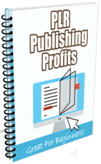 How To Profit From PLR