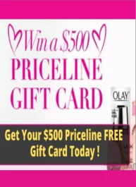 Get a 500 dollar Priceline Gift .png